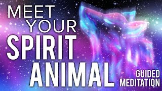 Meet Your SPIRIT ANIMAL Guided Meditation Communicate With Your Animal Spirit Guide [upl. by Janek]