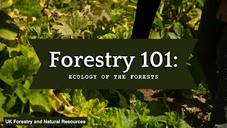 Forestry 101 Ecology of the Forest [upl. by Colin310]