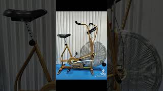 Schwinn Airdyne [upl. by Barabas]