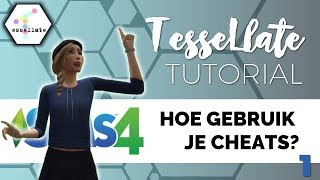 ◢💡 Codes Gebruiken in de Sims 4 💡◤  Tessellate Tutorials  Sims 4 [upl. by Albert]