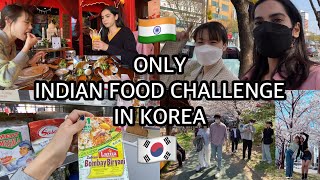 🇰🇷24 HOURS INDIAN FOOD CHALLENGE IN KOREA🇮🇳  Korean spring 🌸cooking amp shopping 🛍 [upl. by Theo]