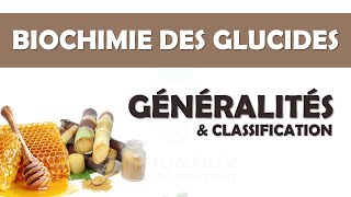 Biochimie des Glucides  Généralités [upl. by Gombosi267]