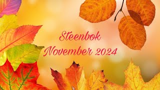 Kaartlegging voor het sterrenbeeld Steenbok  November 2024 ♑️ [upl. by Amled]