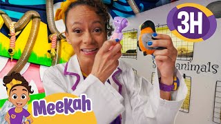 Meekah Rescues the Animals  Educational Videos for Kids  Blippi and Meekah Kids TV [upl. by Dasa976]