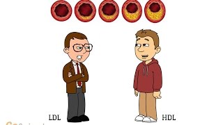 The basics of cholesterol [upl. by Maghutte]