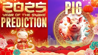 2025 Chinese Zodiac Pig Horoscope Prediction 2025Prediction [upl. by Sevik]