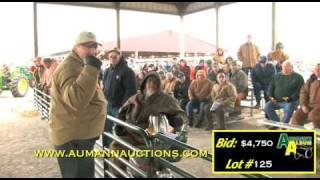 Aumann Auctions 13th Annual Antique Tractor Auction  Minneapolis Moline 5 Star Tractor [upl. by Neelyak]