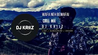 Wafa Neh Bewafai  Chill Mix  DJ KriiZ [upl. by Candie]