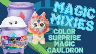 Magic Mixies Color Surprise Magic Cauldron Unboxing Review  The Upside Down Robot [upl. by Hephzipa149]