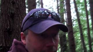 Mushroom Foraging west of Sooke British Columbia [upl. by Pirnot514]