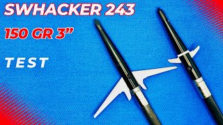 BIG Swhacker 243 3quot 150 GR Broadhead Test [upl. by Delaryd756]