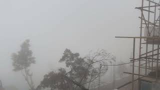 Kodaikanal weather [upl. by Gizela]