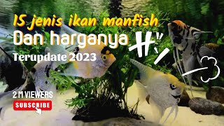 15 JENIS IKAN MANFISH  ANGLEFISH DAN HARGANYA TERBARU 2023 [upl. by Halette]