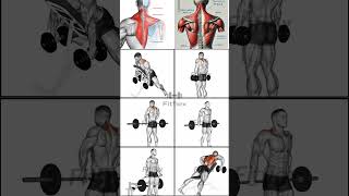 Traps Workout Exercises for Trapezius Muscle Trapezius workout workout exercise [upl. by Wohlert]