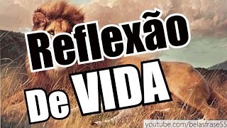 Belas Frases DE REFLEXÃO DE VIDA [upl. by Aynna90]