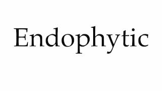 How to Pronounce Endophytic [upl. by Ariak]