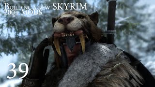 Lets Play Skyrim Modded on PC RTX2060 Part 39 [upl. by Clercq]