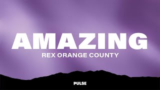 Rex Orange County  AMAZING [upl. by Jonas]