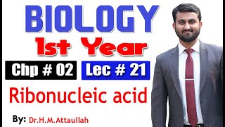 RNA Ribonucleic acid  Chapter 2  1st year Biology  Lec  21 [upl. by Danialah]