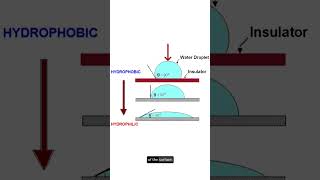 Hydrophobic vs Hydrophilic and the importance for the electrical insulators [upl. by Auberbach886]