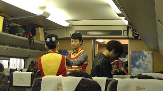 China  Fast Train [upl. by Iroak]