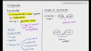 24 Disaccharides  Maltose amp Sucrose Cambridge International AS amp A Level Biology [upl. by Aoket]