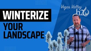 WinterProof Your Landscape Essential Tips for Las Vegas Residents 🌵❄️ [upl. by Runkel]