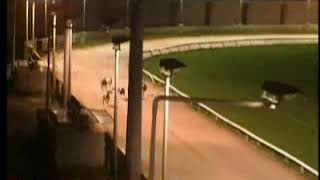 IGB  Try a Trio 05012019 Race 3  Drumbo Park [upl. by Oiracam]