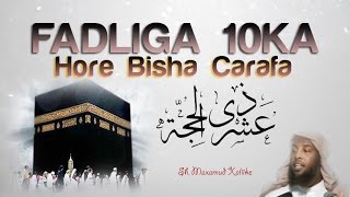 FADLIGA 10 HORE EE DULXIJA CARAFA ᴴᴰ┇ Sh Maxamuud Xaliike [upl. by Yelsiap]