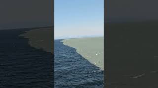 The Place Where Two Oceans Meet  Atlantic and Pacific  Gulf of Alaska shorts viralshorts [upl. by Icaj]