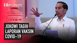 Pimpin Ratas Jokowi Saya Minta Laporan Kapan Vaksin Corona Sampai di Tangan Kita  Kata Dokter [upl. by Eeraj]