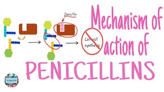 Mechanism of action of penicillins bacterial resistance against penicillins penicillin [upl. by Yntruoc580]