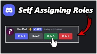 How To Make Self Assign Roles In Discord [upl. by Neeloc]