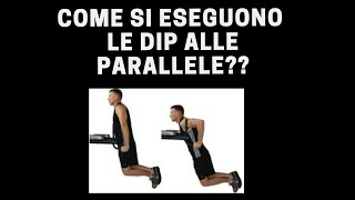 Come si eseguono le dips alle parallele [upl. by Vida135]