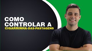 Como controlar a cigarrinhadaspastagens [upl. by Pernas]