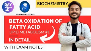 beta oxidation of fatty acid biochemistry  fatty acid oxidation pathway  fatty acid metabolism [upl. by Varney466]