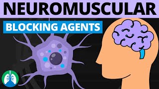 Neuromuscular Blocking Agents Definition  Depolarizing vs Nondepolarizing Drugs [upl. by Jemma666]