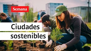 ¿Qué papel tienen las ciudades en la mitigación del cambio climático  Biodiverciudades [upl. by Richia297]