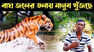 জলের মধ্যে বাঘের সঙ্গে ভয়ঙ্কর লড়াই  Sundarban Royal Bengal Tiger Attack [upl. by Hcirteid]