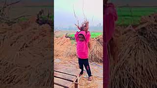 Kheti badi kheti khetibadi shorts viralvideo shortvideo [upl. by Laird]