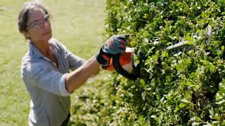 The STIHL cordless hedge trimmer HSA 56 [upl. by Alphard308]