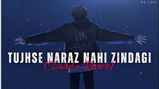 Tujhse Naraz Nahi Zindagi  Sanam  SS Lofi [upl. by Kulsrud228]