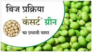 सोयाबीन भुईमुंग बीज प्रक्रीयेसाठी कंसर्ट ग्रीन चा प्रभावी वापर  Koncert Green Seed Treatment [upl. by Vere]