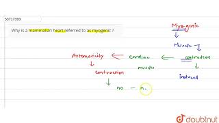 Why is a mammalian heart referred to as myogenic   11  BODY FLUIDS AND CIRCULATION  BIOLOGY [upl. by Laurene]