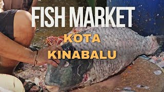 Kota Kinabalu  Fish Market 2024 [upl. by Ivar]