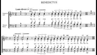 MISSA PRO PATRIA  Benedictus  Tenorstimme [upl. by Noakes758]