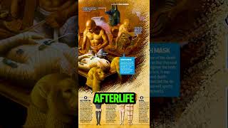 How did the Egyptians prepare the bodies for eternity🤯history historyfacts shorts facts [upl. by Atteuqaj]