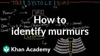 How to identify murmurs  Circulatory System and Disease  NCLEXRN  Khan Academy [upl. by Atikan]