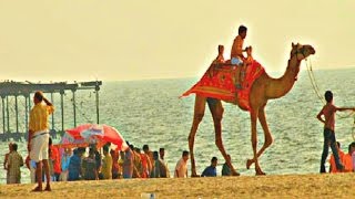 Alleppey Beach Alappuzha  Kerala India 2014 [upl. by Schick551]