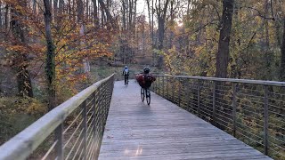 Mt Washington Boardwalk on the Jones Falls Trail [upl. by Ihtraa]